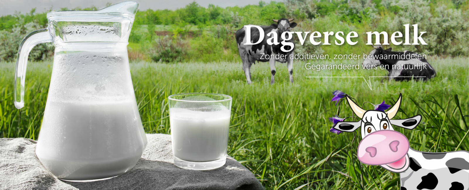 Vandaele Kaas - De Groene Boomgaard